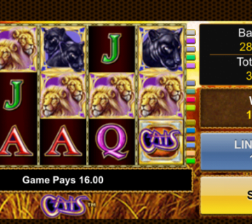 Cats Slot